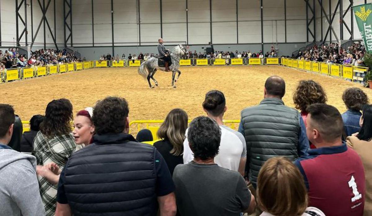 Laviana, fin de semana a galope