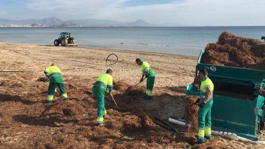 El Ayuntamiento explica las actuaciones para acondicionar las playas de cara a Semana Santa