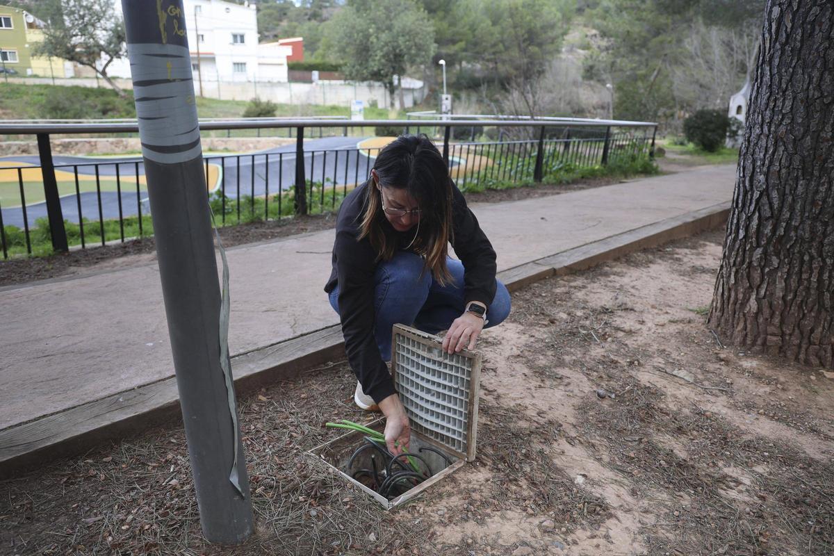 La edila junto a la zona del robo