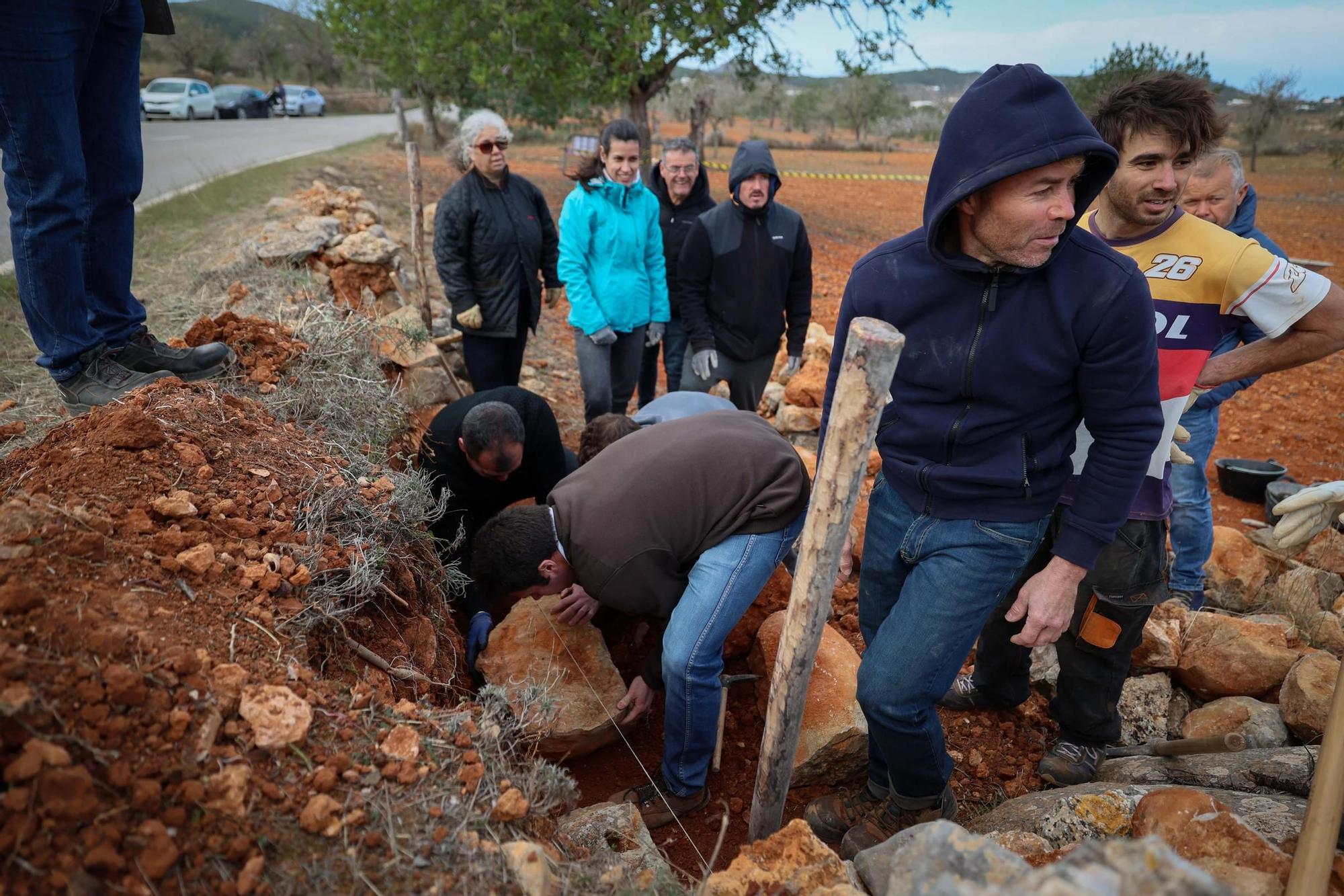 Galería: Reparación de la pared de piedra seca Joan d'en Micolau