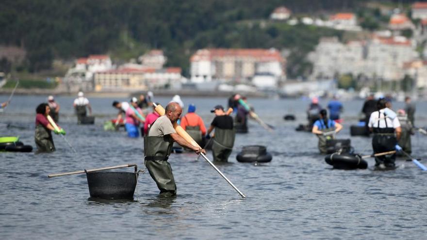 Mariscadores trabajando el pasado verano en Lourido. // Gustavo Santos