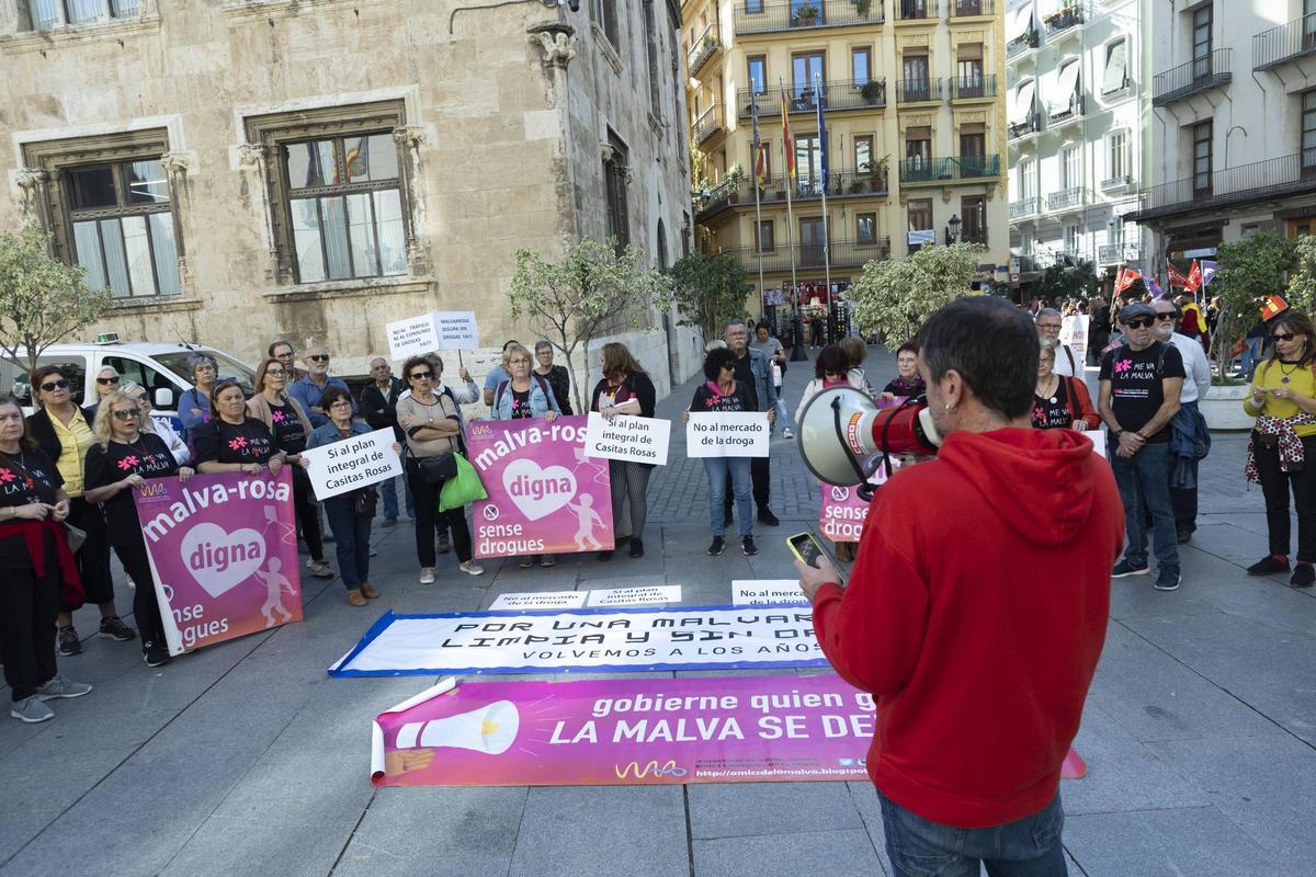 Protesta de Amics de la Malva, celebrada el pasado martes ante la Diputació de València.