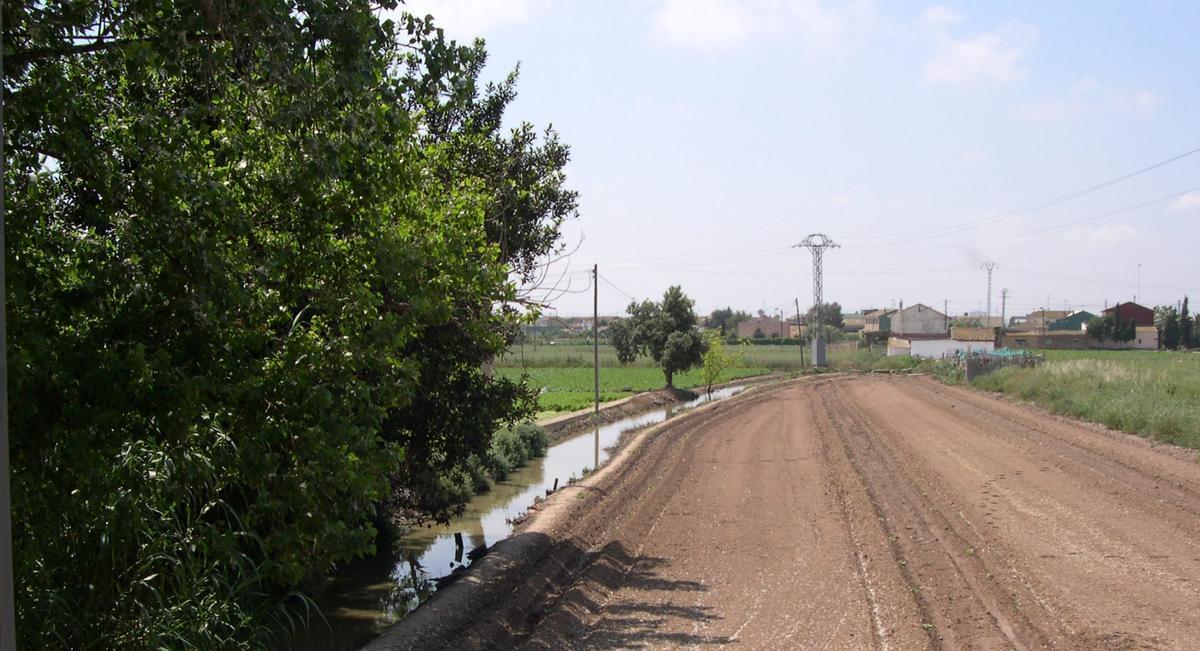 6.Fila de Catarros. Sistema de Rovella.