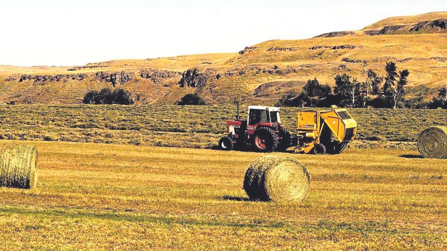 La venganza del campo