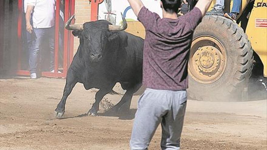 Los bous al carrer se preparan para una suspensión y exigirán ayudas