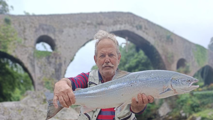 Salió &quot;el campanín&quot; de El Puente Romano, en el río Sella, de 4.100 kilos