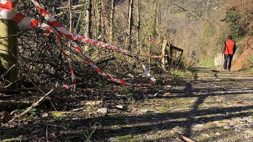 Un caminante en un tramo deteriorado de la Senda del Oso, en las inmediaciones de Caranga (Proaza).