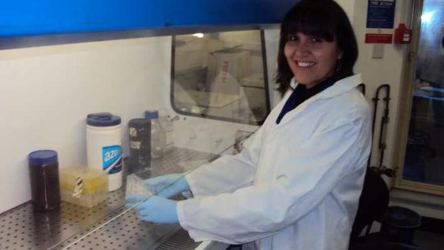 El investigadora ilicitana Ílida Ortega, en su laboratorio de la Universidad de Sheffield.