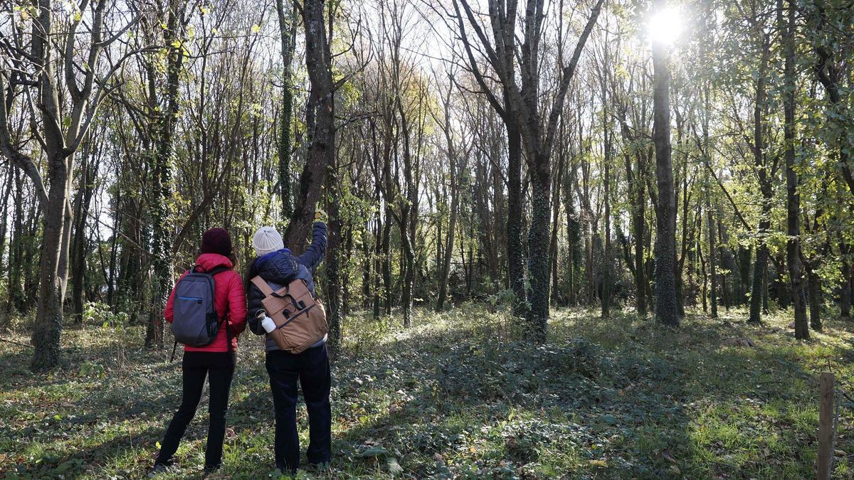 Visitants observant la roureda humida del Mas Tarut, a Olot.