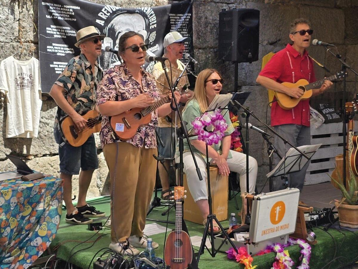 ukestra do medio grupo música ukelele