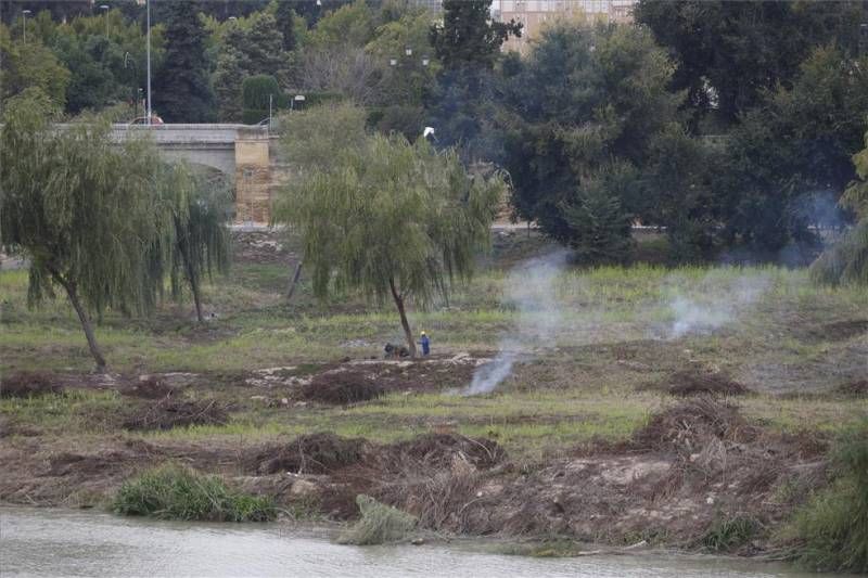 Labores de limpieza en el río Guadalquivir