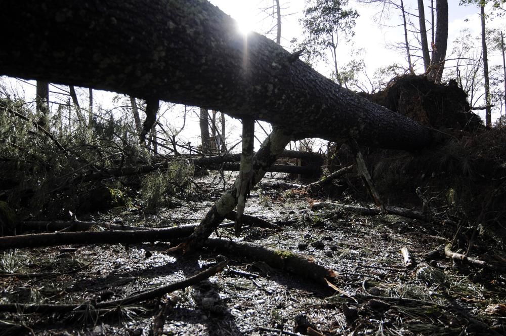 Destrozos en el acceso a la fervenza del río Toxa