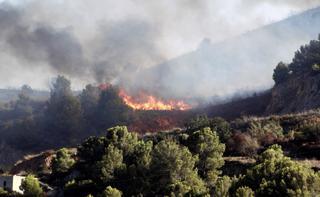 Más de 400 desalojados por el incendio forestal de Sierra Bermeja (Málaga)