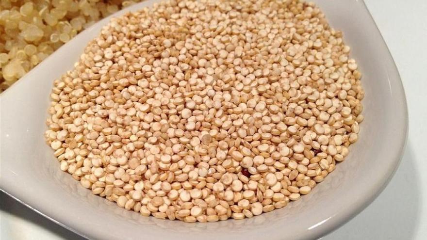 ¿Sabes qué es la quinoa y qué propiedades tiene?