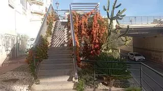 Un rincón florecido junto al río para despedir el invierno