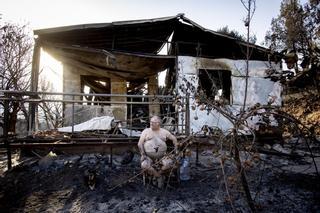 Incendios forestales: pocas condenas para tantas llamas