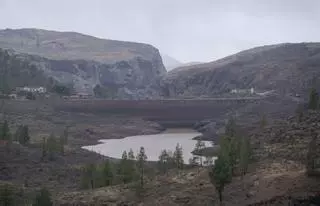 La AEMET avisa sobre si hay avisos activos hoy en Canarias por la borrasca Claudia