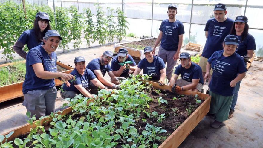 Aquí hay tomate... con futuro laboral