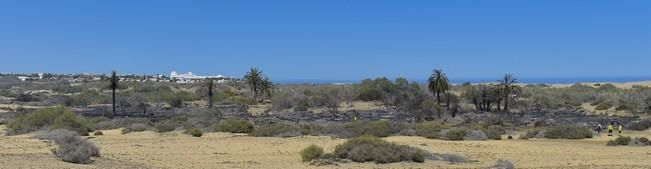 Incendio en la zona de las dunas de Maspalomas