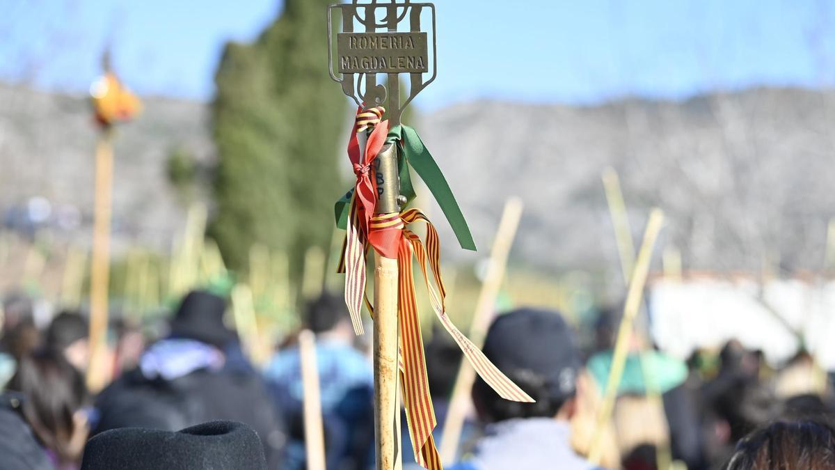 Un detalle de una caña el día de la Romeria de les Canyes.