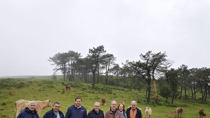 Medio Rural invierte 230.000 euros en un nuevo pastizal para ganado en Cerdedo Cotobade