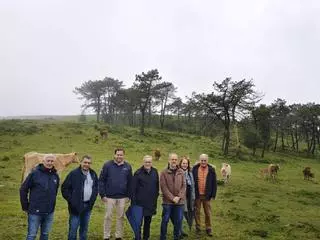 Medio Rural invierte 230.000 euros en un nuevo pastizal para ganado en Cerdedo Cotobade