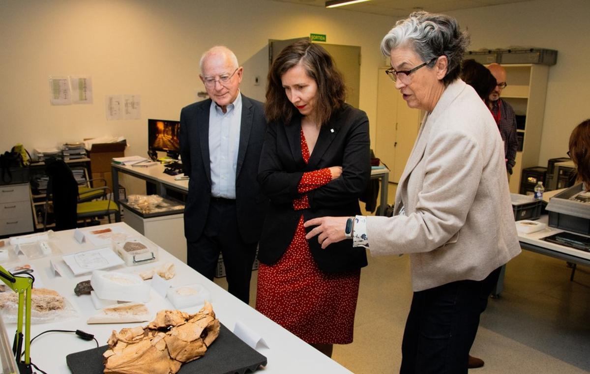 Teresa Sanchis, durante una visita al IPHES-CERCA.