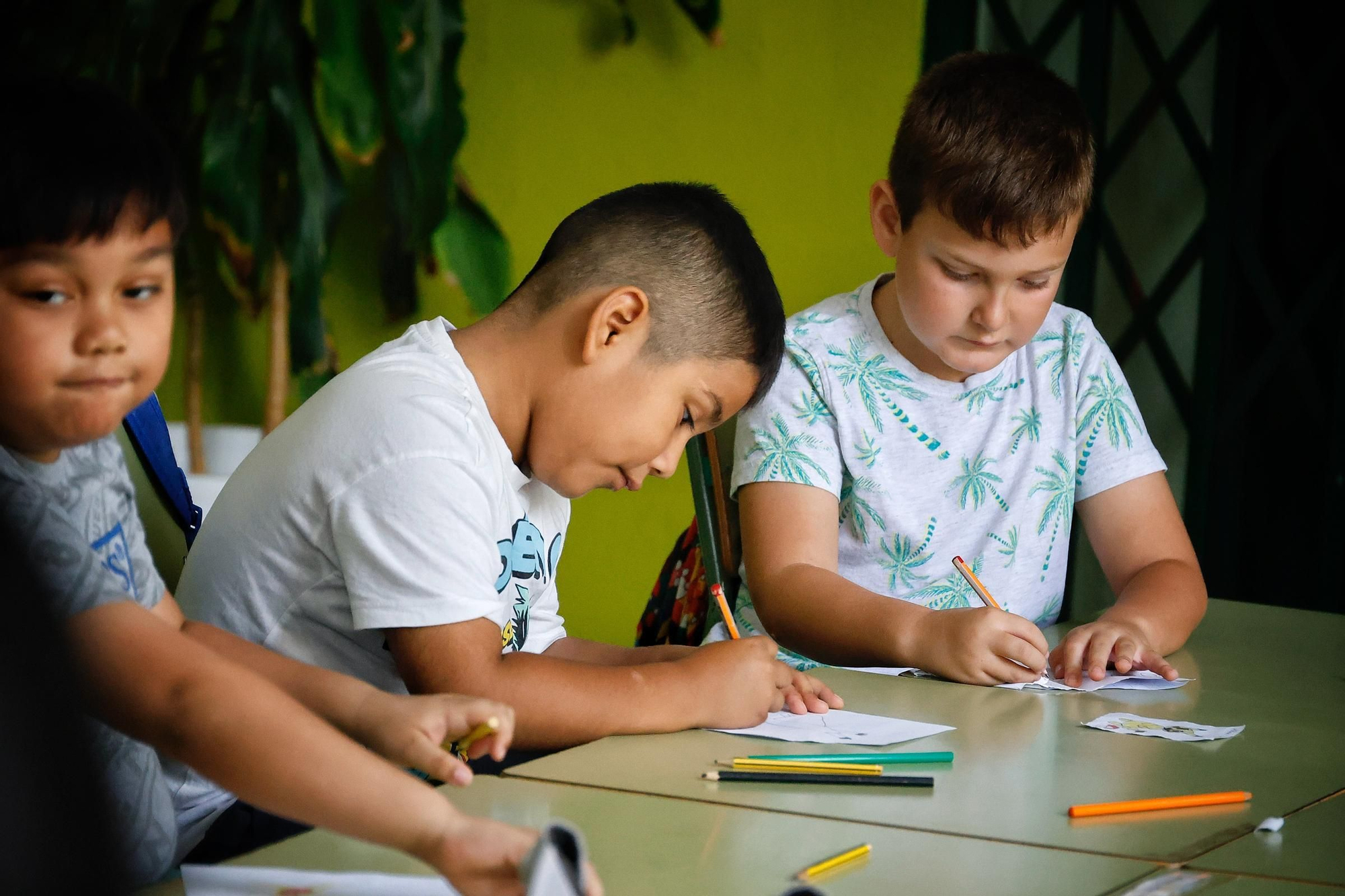 Escuelas de Verano de Santa Cruz