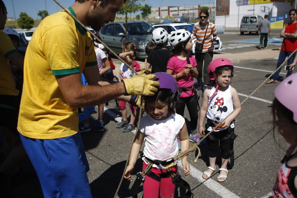 Actividades San Pedro