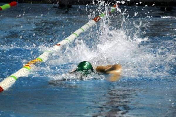 Trofeo San Silvestre El Olivar de natación