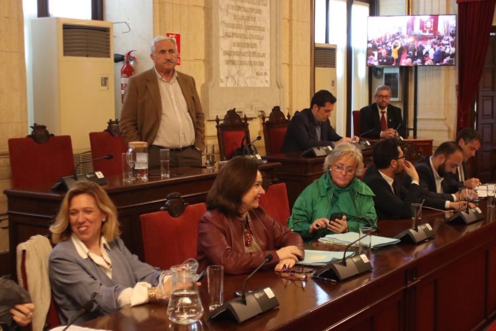 PSOE, Málaga Ahora y Málaga para la Gente exigen la dimisión de los concejales Teresa Porras, Francisco Pomares y del gerente de Urbanismo, José Cardador