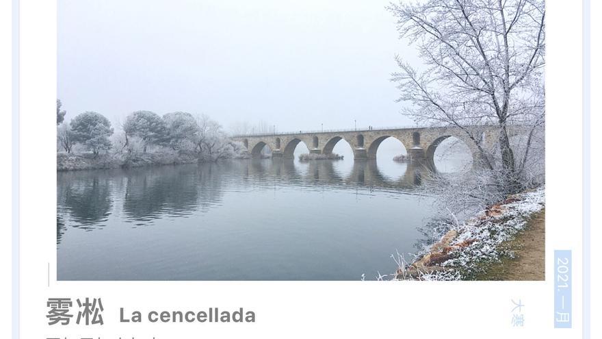 Las cencelladas de Zamora maravillan a China