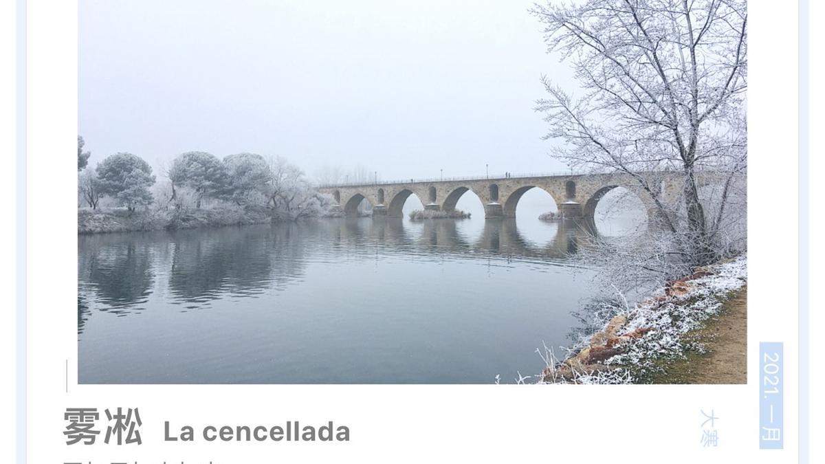 Las cencelladas de Zamora maravillan a China.