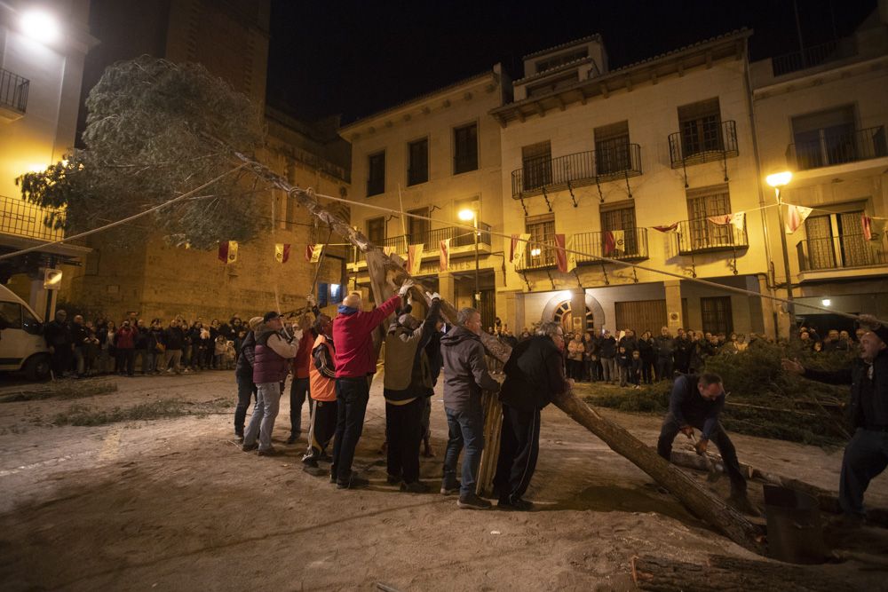 Sant Antoni arranca en Sagunt con la tradicional Plantà del Pi