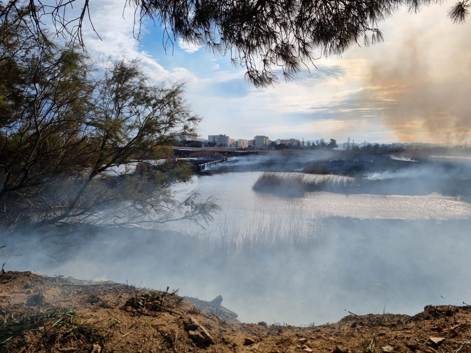 Incendi de matolls a l'Estartit