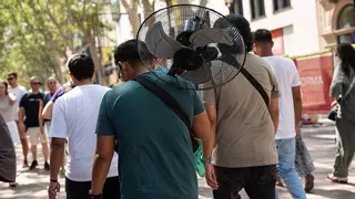 Directo | Catalunya alcanza los 43,8ºC en Terres de l'Ebre, la temperatura más alta del año