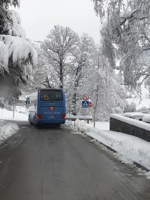 Carretera entre Molló i Camprodon