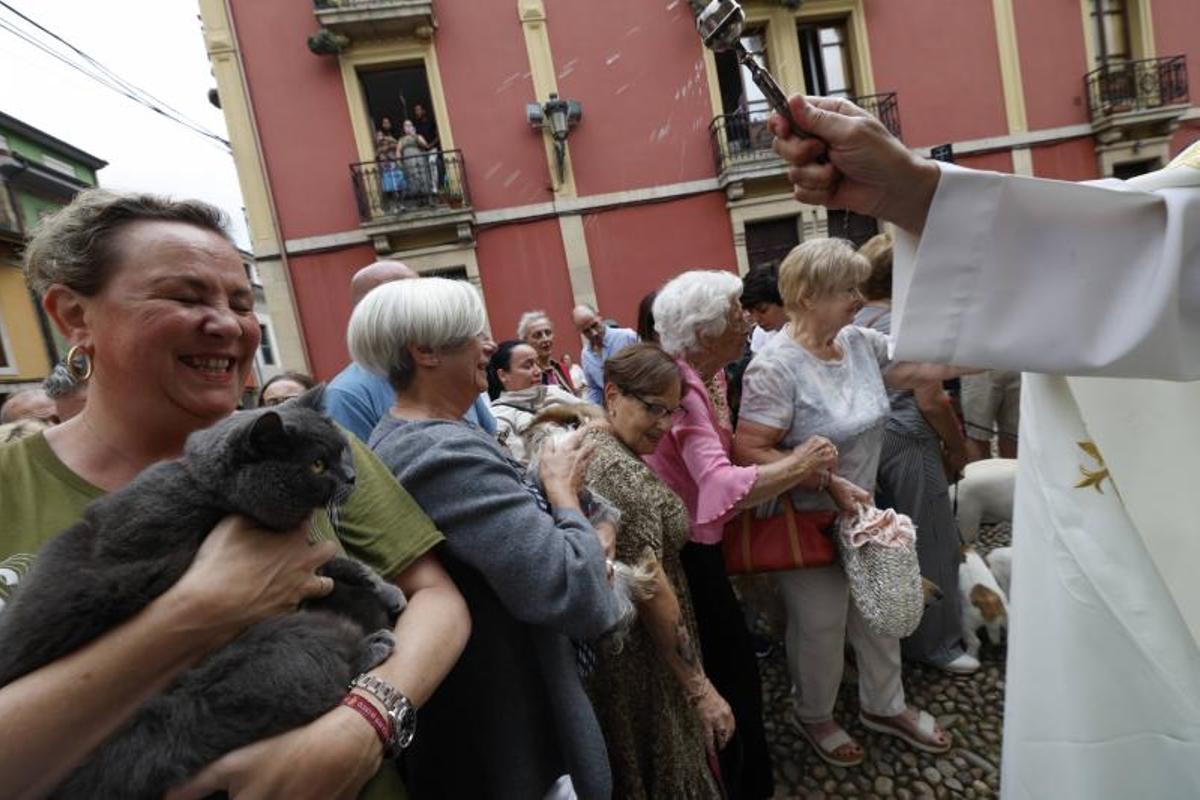 EN IMÁGENES: la bendición de San Roque a las mascotas en El Carbayedo, en Avilés