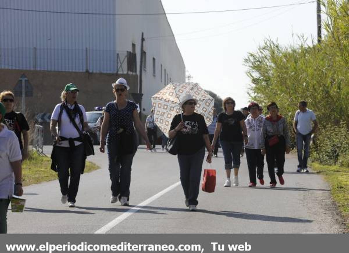 GALERÍA DE FOTOS - Romería en Almassora