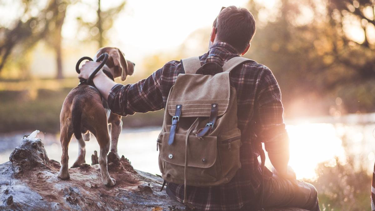 Camino de Santiago con mascota