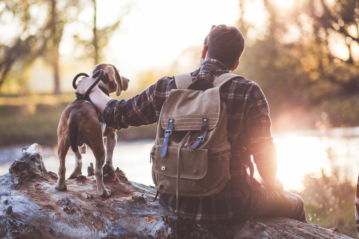 Camino de Santiago con mascota