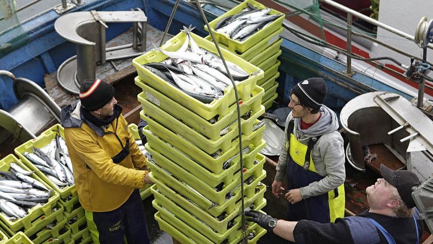 La flota pesquera amplía en 143.449 kilos el cupo de xarda que puede capturar este año