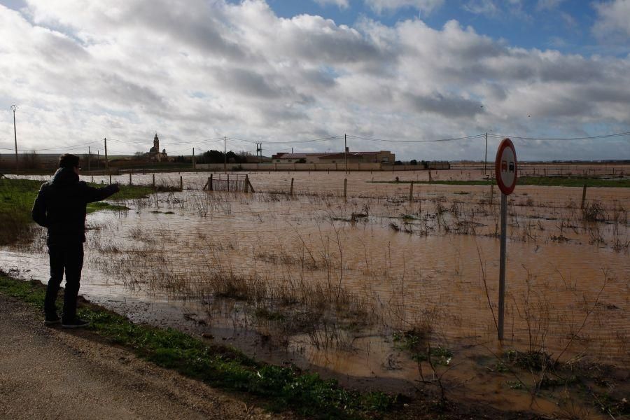 Inundaciones de enero 2016 en Zamora