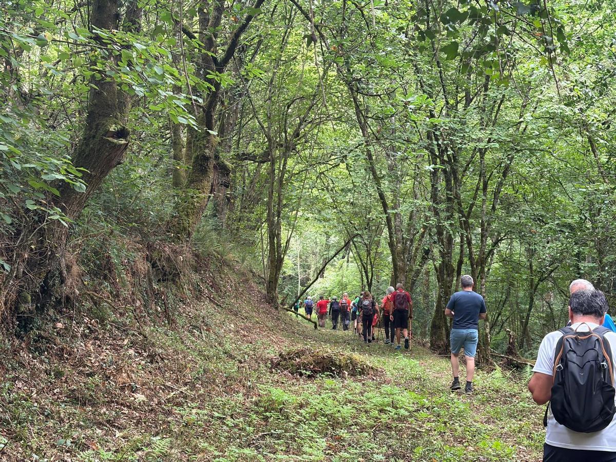 La caminata con el Grupo Montañero Moscón, en imágenes La caminata con el Grupo Montañero Moscón, en imágenes