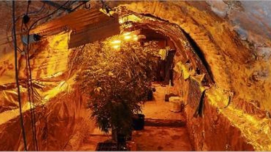 El propietari del cultiu havia creat el sistema elèctric per fer créixer la marihuana en el túnel del segle XVII.
