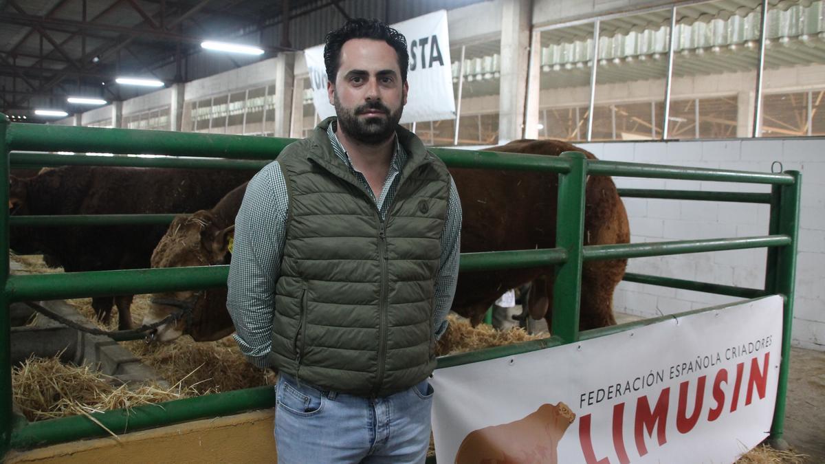 Antonio Rodríguez Vega, presidente de Limusinex, en la Agroganadera de Trujillo, junto a un macho de subasta.