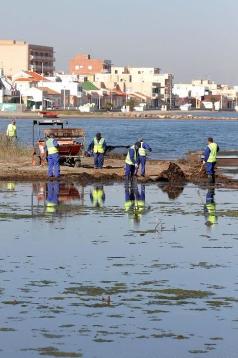 Así trabaja la brigada de limpieza en el Mar Menor