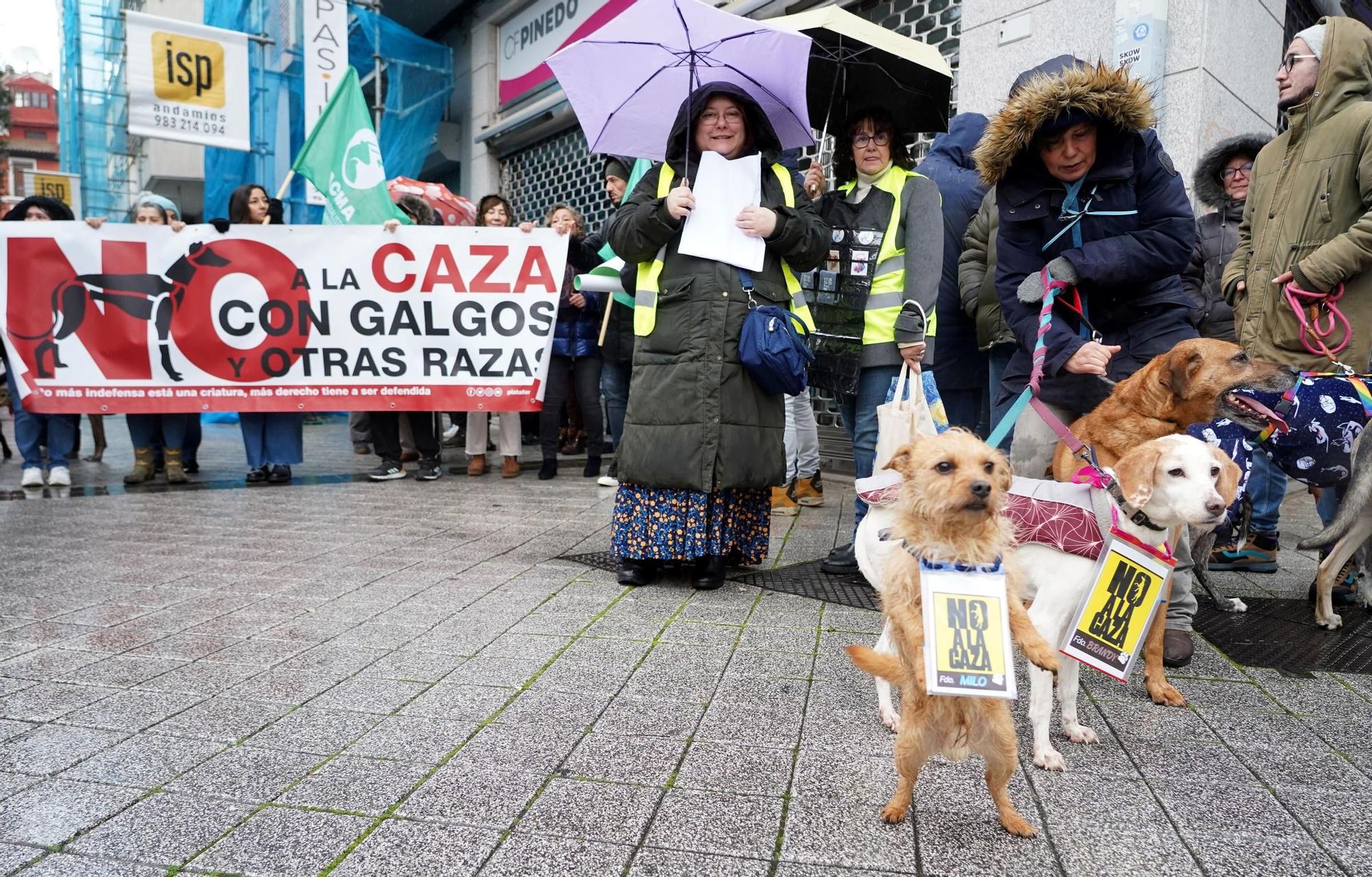 León y Valladolid se movilizan para reclamar una legislación que proteja a los perros usados en la caza
