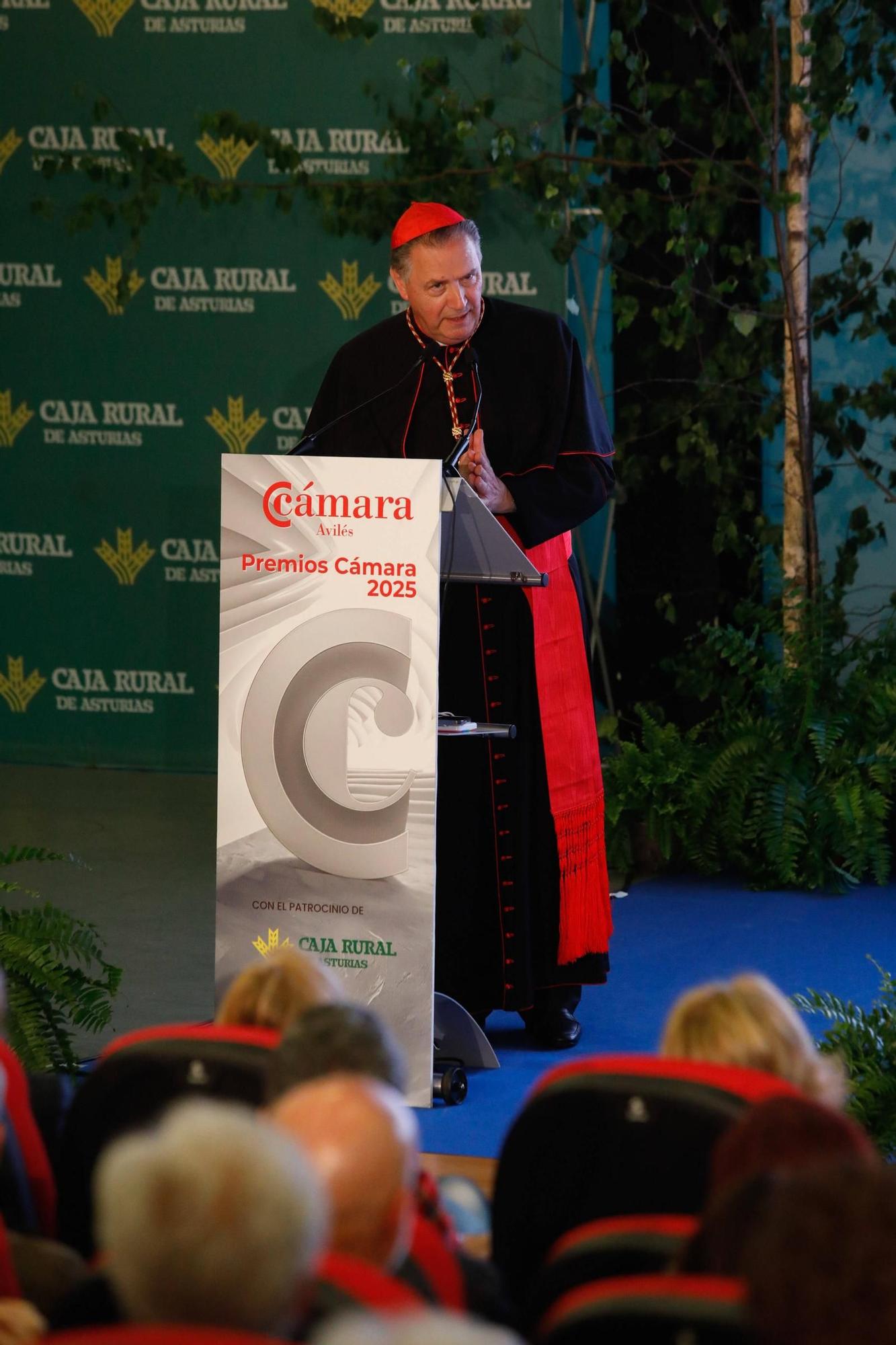 EN IMÁGENES: Los premios de la Cámara de Comercio de Avilés con el cardenal Artime entre los galardonados
