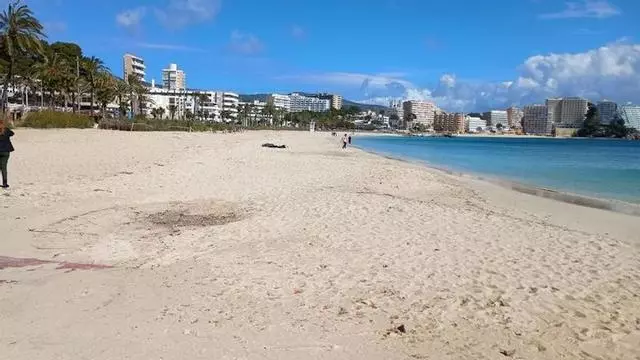 Playa de Magaluf, sin servicios de temporada por el momento, este domingo